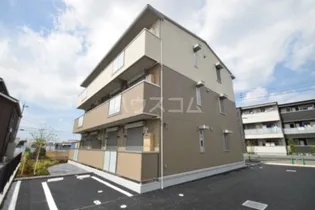 プリムローズの画像