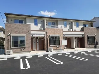 ハウオリの画像