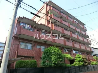 グレース河野の画像