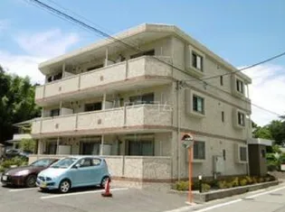 マルベリーの画像