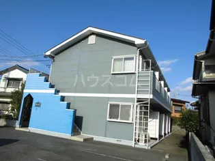 パインウェイブの画像