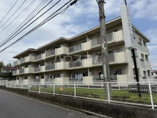 ルネッサンス1号館の画像