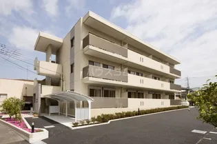 エバーグリーンの画像