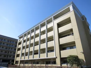 シャルマンフラットリヴァーIIの画像