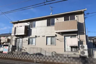 アクアパーム Cの画像