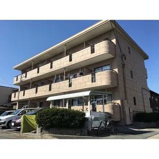 ヒラソルの画像