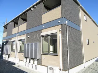 ルピナスBの画像