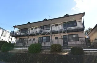 パーシモンの画像