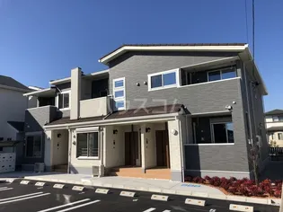 ハナミズキの画像