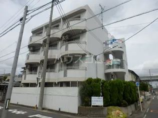 シャルムNの画像