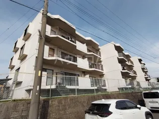 グレース磯村の画像