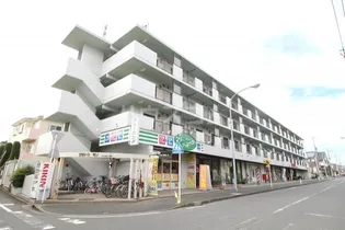 プラトゥモリの画像