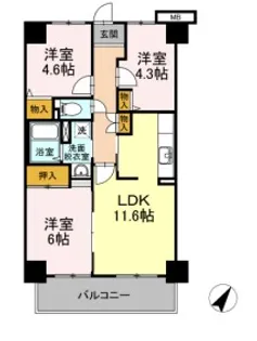 ワイズエメリールU【12階】の間取り