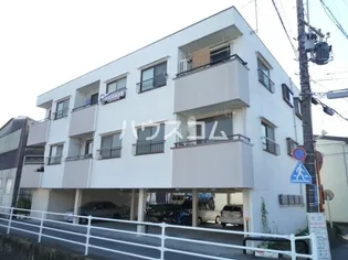 リーベロクヌギの画像