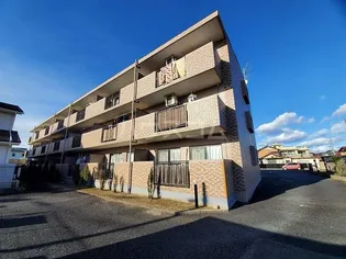 TステージミカーレⅠの画像