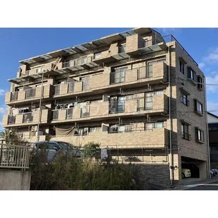 ルミネス原の画像