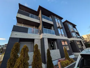 チューリップ ツリーの画像