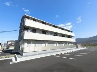 ヤンガー佐野の画像