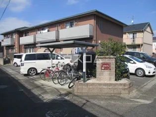 コサティの画像