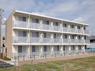 アイリスNの画像