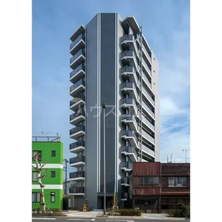 OPEN BLOOM SUMIDA YAHIROの画像