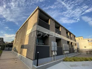 ハイグレイスの画像