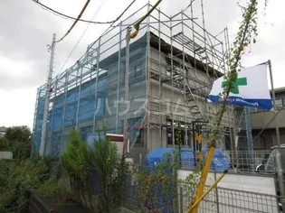 フェリチタの画像