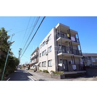 ベルグリーンの画像