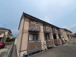 OISEAUX MONTAGNEの画像