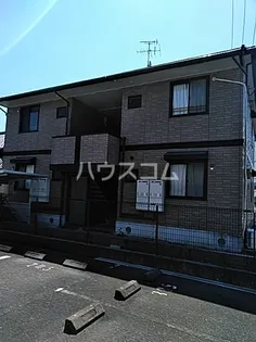 アムールの画像