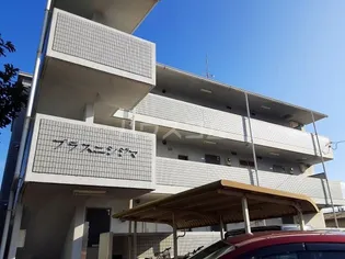 プラスニシジマの画像