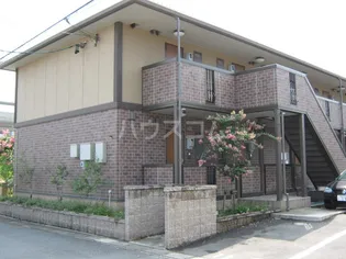 パースィモンの画像