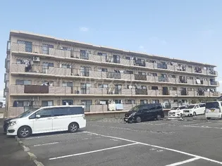 ソフィア小牧の画像