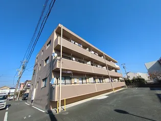 アネシスの画像