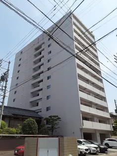 フォレスト Nの画像