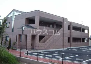 ローズマリー Mの画像