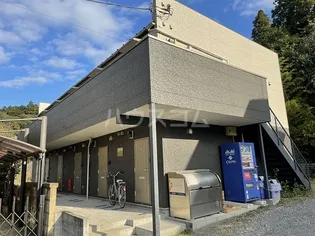 セレーナ佐倉の画像