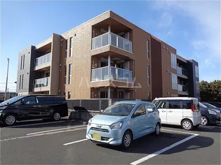 アピシウスの画像