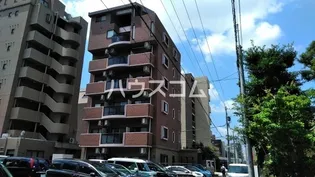 ブロアアムールの画像