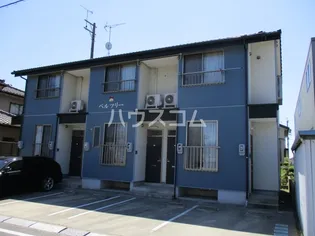 ベルツリーの画像