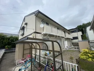 セジュール錦の画像