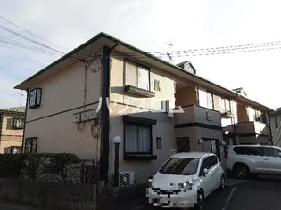 ウィンディアコリーヌの画像