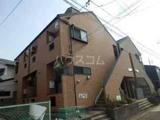 ブルーコートの画像