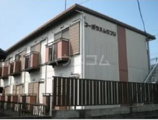 コーポラスムロフシの画像