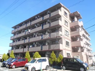 インターラーゲンの画像