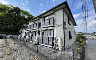 ドボス みどりの画像