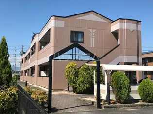 ピアリーの画像