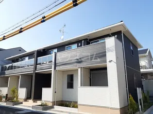 ジャパンディライトの画像