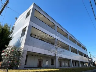 ラベンターナの画像