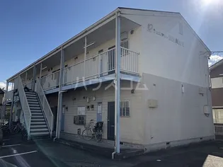 シェルティKUWAGO1の画像